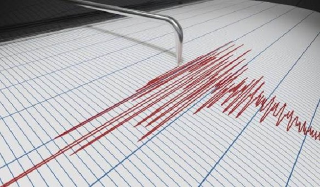 Pesisir Barat, Lampung Diguncang Gempa