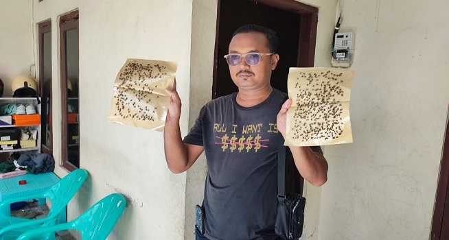 Serbuan Lalat di Palur, Puluhan Warga Diare  