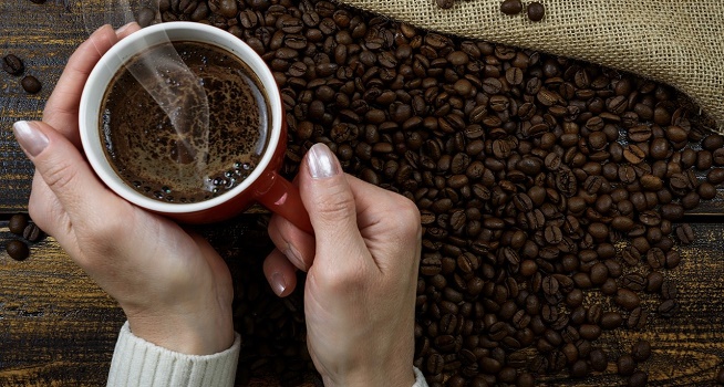 Dari Pegunungan Papua, Aroma Kopi Tiom Tembus Pasar Nasional 