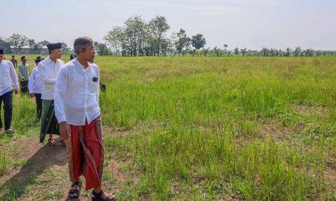 Lahan Pertanian di Grobogan Kena Dampak Banjir, Sekda Jateng Ambil Langkah Pengerukan