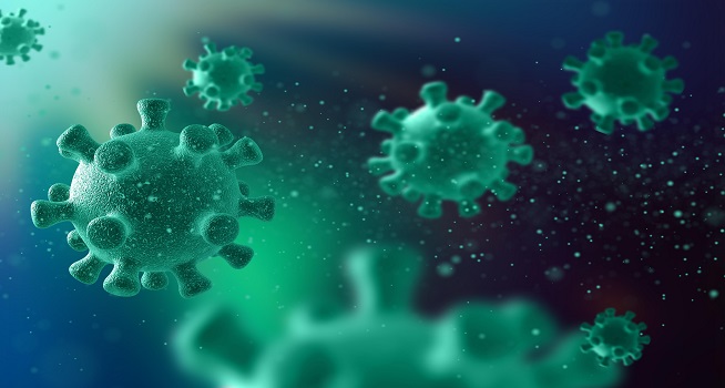 5 Anak Meninggal Akibat Flu Babi, Kemenkes Minta Perhatikan Kesehatan Lingkungan 