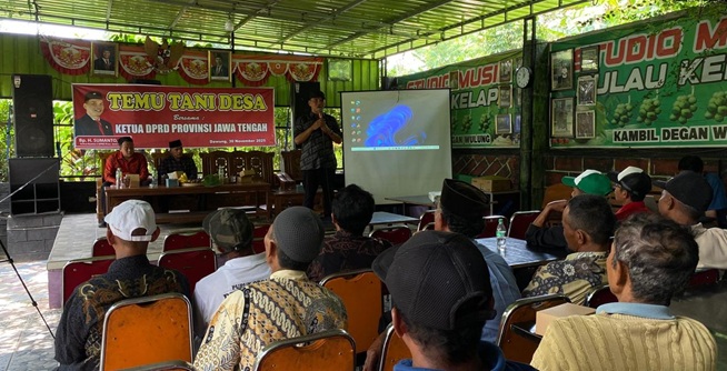 Begini Cara Tingkatkan Penghasilan dengan Menanam Sayuran Bernilai Tinggi