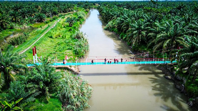 Presiden Prabowo resmikan 218 Jembatan di Indonesia