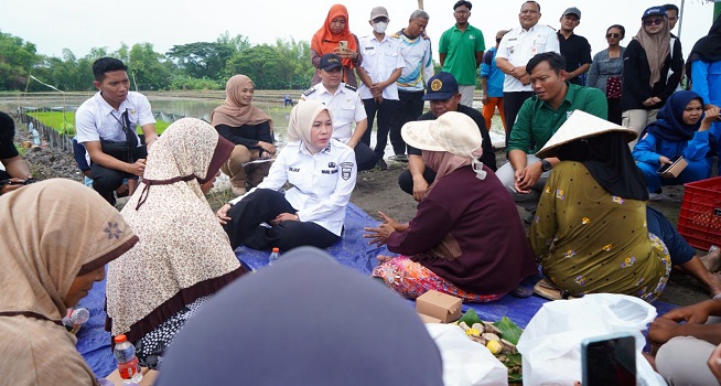 Pola Kemitraan Petani, Dorong Generasi Muda Boyolali Terjun ke Dunia Pertanian
