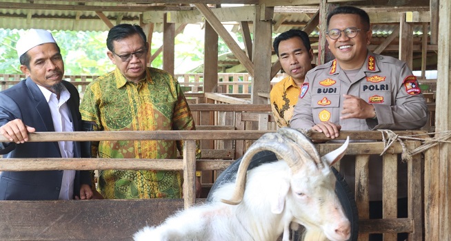 Ponpes Darusy Syahadah dari Stigma Eksklusif Menuju Pesantren Mandiri dan Terbuka