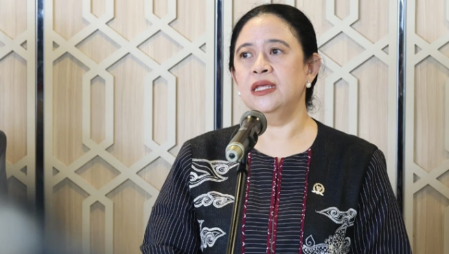 Kebakaran Lahan Masih Terjadi, Puan Minta Pemerintah Perkuat Perlindungan Masyarakat