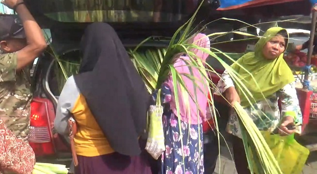 Jelang Lebaran Ketupat, Warga Mulai Berburu Janur