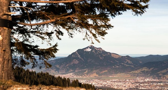 Taman Nasional Lampung Terancam Dirambah, Anggota Dewan Minta Pengawasan Diperketat