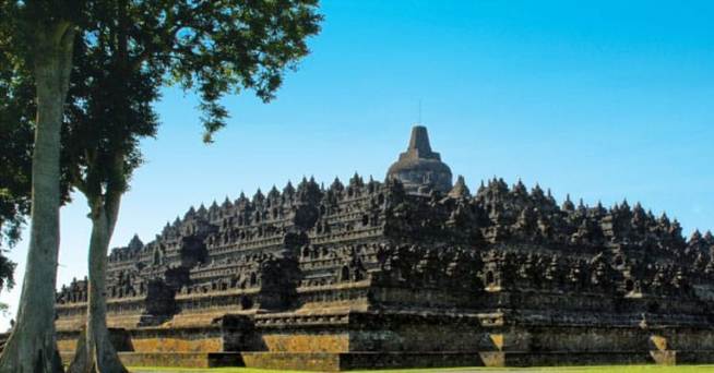 Jenis Jenis Tanaman Yang Ada Di Relief Candi Borobudur Akan